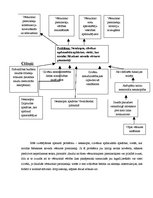 Referāts 'Audriņu pagasta Ančupānu kalnu memoriāla atjaunošana', 4.