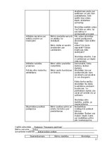 Prakses atskaite 'Atskaite par agrīnās bērnības pedagoģisko praksi', 17.