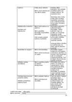 Prakses atskaite 'Atskaite par agrīnās bērnības pedagoģisko praksi', 19.