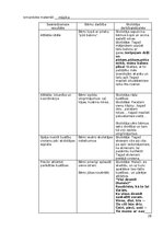 Prakses atskaite 'Atskaite par agrīnās bērnības pedagoģisko praksi', 20.