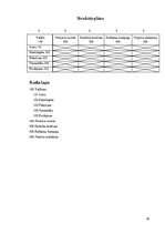 Diplomdarbs 'Līgatnes "Padomju slepenais bunkurs" kā militārais mantojums: izmantošanas iespē', 95.