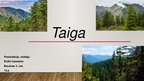 Prezentācija 'Taigas bioma', 1.