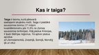 Prezentācija 'Taigas bioma', 2.