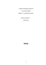 Referāts 'Māksla', 1.