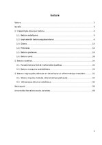 Referāts 'Betons un tā izmantošana celtniecībā', 2.