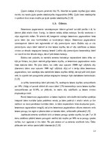 Referāts 'Betons un tā izmantošana celtniecībā', 13.