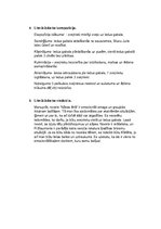 Eseja 'Rūdolfa Blaumaņa noveles “Nāves ēnā” literārā darba analīze', 2.