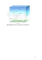 Referāts 'Atmosfēras globālās piesārņojuma problēmas', 6.
