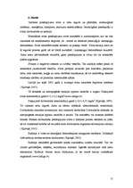 Referāts 'Atmosfēras globālās piesārņojuma problēmas', 15.