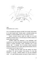 Referāts 'Atmosfēras globālās piesārņojuma problēmas', 17.