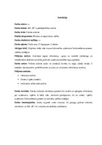 Prakses atskaite 'SIA "M" uzņēmējdarbības analīze', 3.