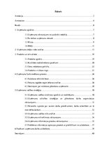 Prakses atskaite 'SIA "M" uzņēmējdarbības analīze', 5.