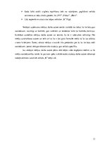 Prakses atskaite 'SIA "M" uzņēmējdarbības analīze', 13.