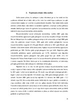 Prakses atskaite 'SIA "M" uzņēmējdarbības analīze', 14.