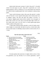 Prakses atskaite 'SIA "M" uzņēmējdarbības analīze', 18.