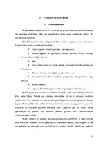 Prakses atskaite 'SIA "M" uzņēmējdarbības analīze', 20.