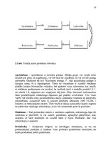 Diplomdarbs 'A/s "Kurzemes Atslēga" ekonomiskā analīze', 30.