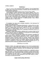 Konspekts 'Atslēdznieku teorija', 21.