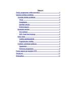 Referāts 'Interneta drošības problēmas', 2.