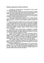 Referāts 'Interneta drošības problēmas', 3.