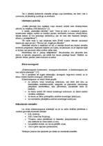 Referāts 'Interneta drošības problēmas', 5.