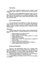 Referāts 'Interneta drošības problēmas', 6.