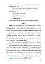 Referāts 'Uzņēmuma gada pārskatu sastāvs un sastādīšanas principi', 4.