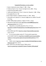 Referāts 'Uzņēmuma gada pārskatu sastāvs un sastādīšanas principi', 17.