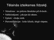 Prezentācija 'O.Vācietis "Visāda garuma stundas"', 6.