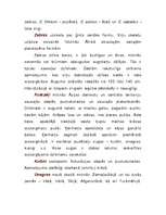 Referāts 'Zirgi', 16.