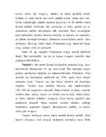 Referāts 'Zirgi', 19.