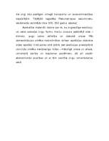 Referāts 'Zirgi', 24.