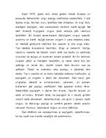 Referāts 'Zirgi', 26.