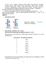 Konspekts 'Dabasvielas', 3.