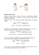 Konspekts 'Dabasvielas', 6.