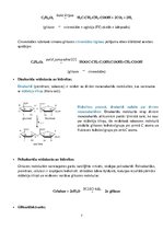 Konspekts 'Dabasvielas', 7.