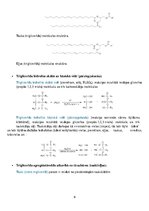 Konspekts 'Dabasvielas', 9.