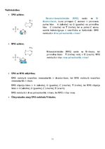 Konspekts 'Dabasvielas', 11.