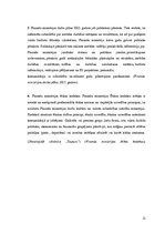 Referāts 'Finanšu ministrija', 11.