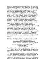 Referāts 'Rūdolfs Blaumanis', 2.