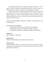 Referāts 'Manas klases sasniegumi matemātikā no 5. līdz 10.klasei', 4.