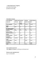 Referāts 'Aušanas uzņēmuma projektēšana', 19.