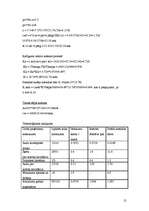 Referāts 'Aušanas uzņēmuma projektēšana', 21.