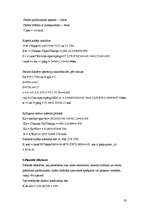 Referāts 'Aušanas uzņēmuma projektēšana', 23.