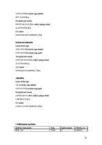 Referāts 'Aušanas uzņēmuma projektēšana', 30.