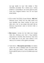 Referāts 'Grāmatas analīze', 3.