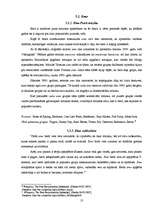 Referāts 'Netradicionālā mūzika gadsimtu mijā', 13.