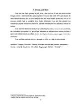 Referāts 'Netradicionālā mūzika gadsimtu mijā', 17.