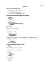 Referāts 'Netradicionālā mūzika gadsimtu mijā', 31.