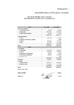 Referāts 'Uzņēmuma "Latvijas Dzelzceļš" finanšu analīze', 10.